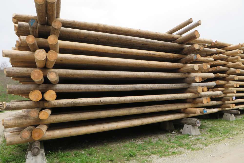 Gorza pali legno - Altri pali - Pali di linee elettriche e telefoniche