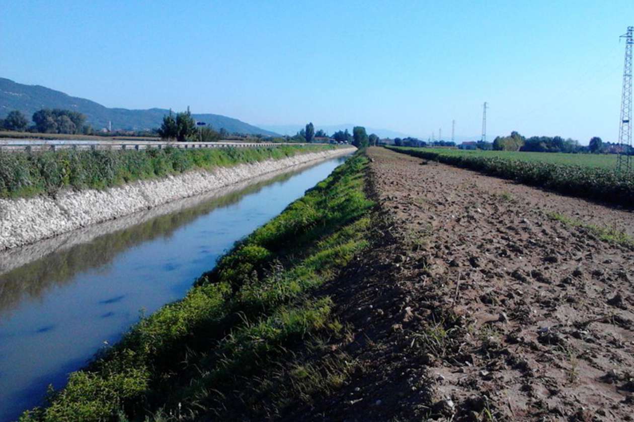 Gorza S.r.l. - Impiego dei pali - Ripristino ambientale e difesa idraulica
