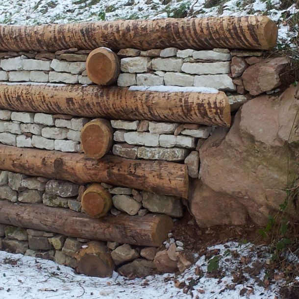 Gorza S.r.l. - Realizzazioni - Ripristino ambientale - Croce d'Aune (BL)