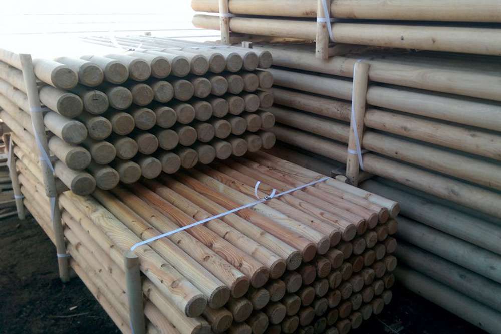 Gorza pali legno - Pali larice