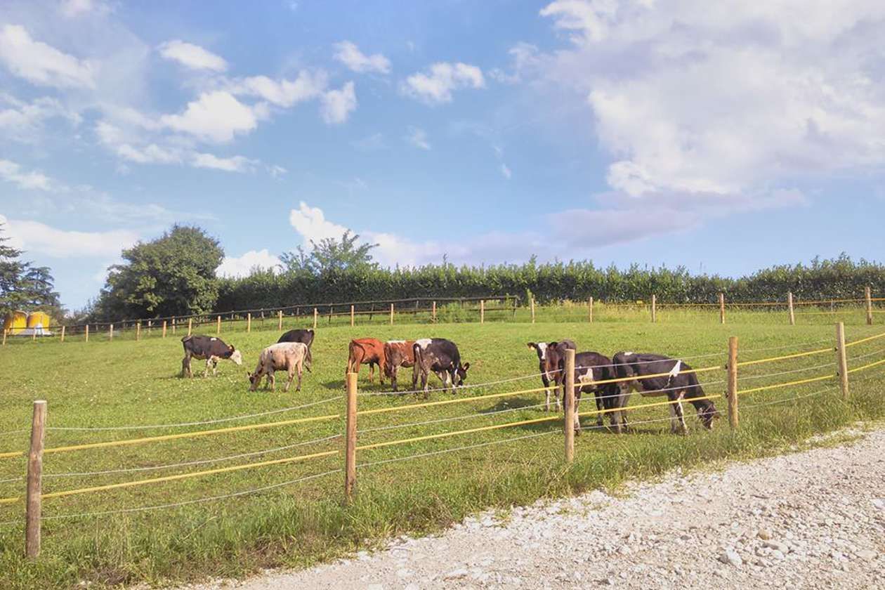 Gorza S.r.l. - Impiego dei pali - Lavorazioni varie