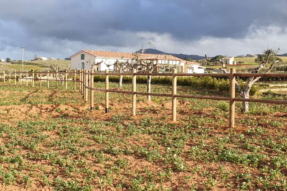 Gorza pali legno - Pali pino