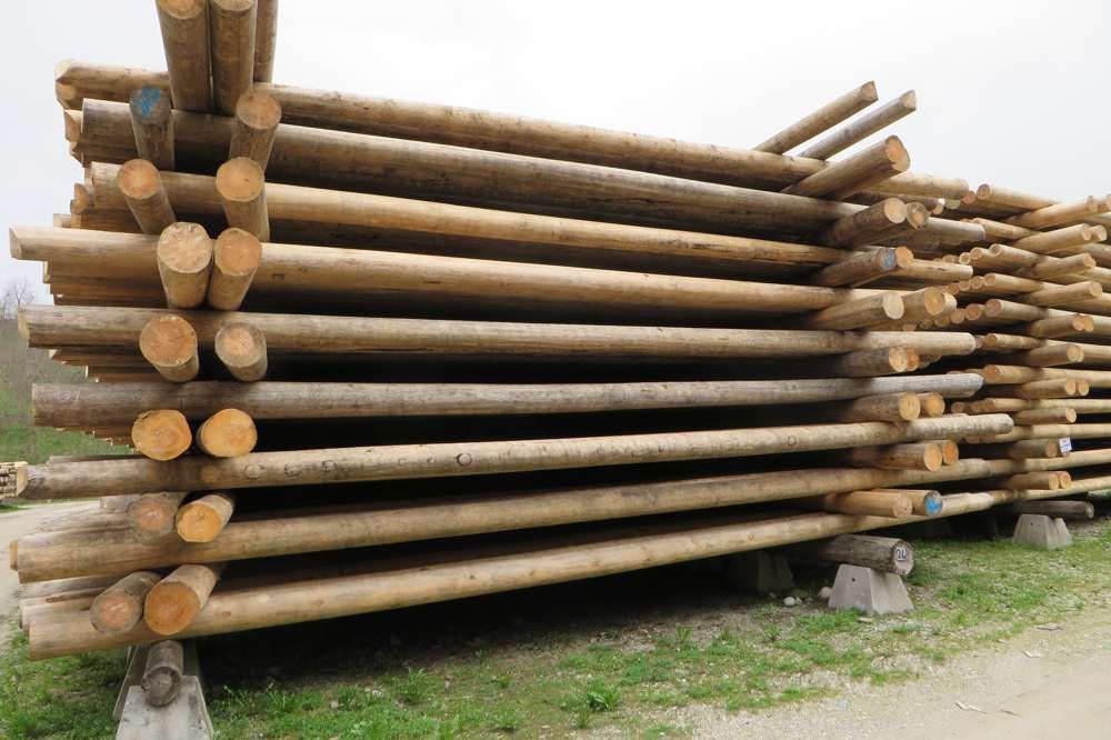 Gorza pali legno - Altri pali - Pali di linee elettriche e telefoniche