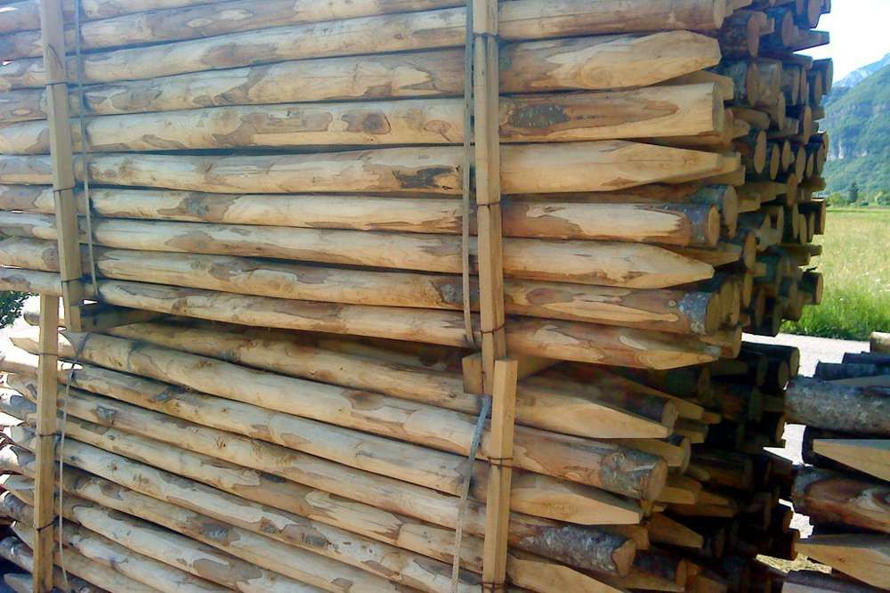 Gorza pali legno - Pali castagno