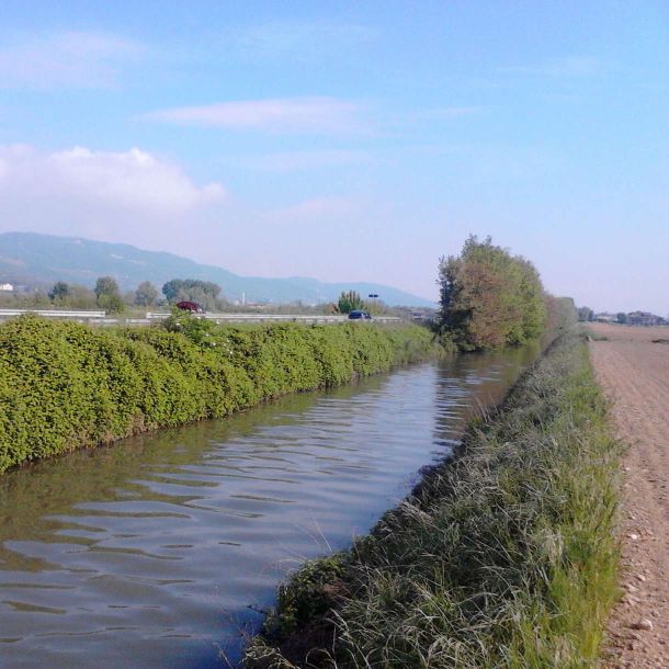 Gorza S.r.l. - Realizzazioni - Canale artificiale - Mossano (VI)