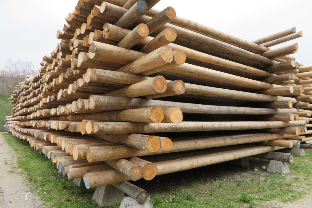 Gorza pali legno - Altri pali - Pali di linee elettriche e telefoniche