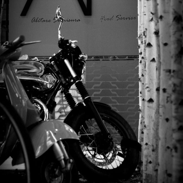 Gorza S.r.l. - Realizzazioni - Arredo con pali in betulla