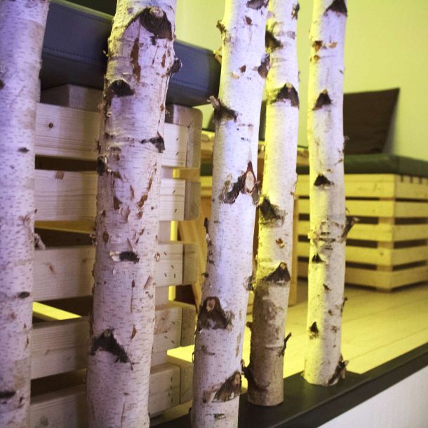 Gorza S.r.l. - Realizzazioni - Arredo con pali in betulla