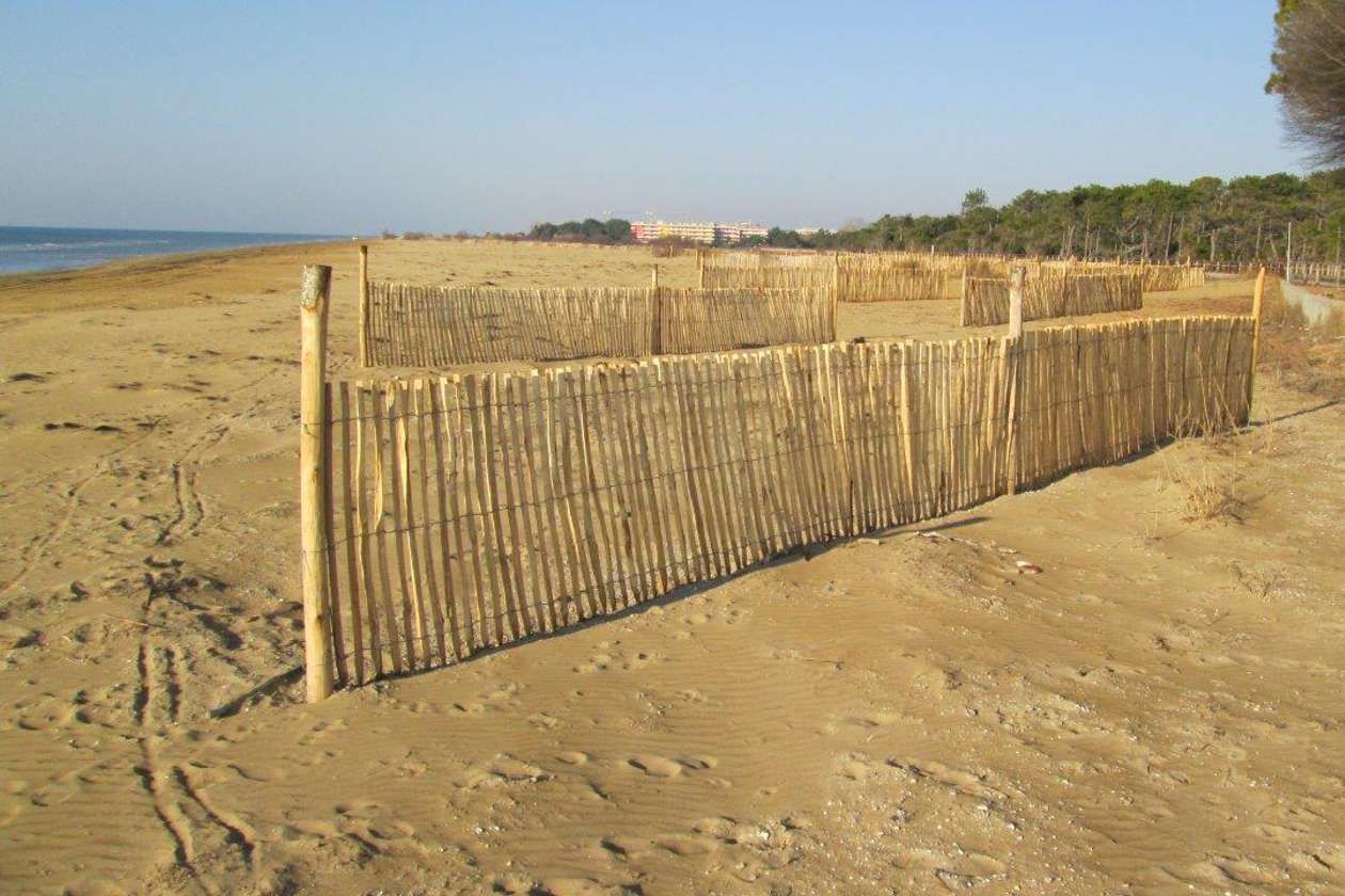 Gorza S.r.l. - Impiego dei pali - Lavorazioni varie