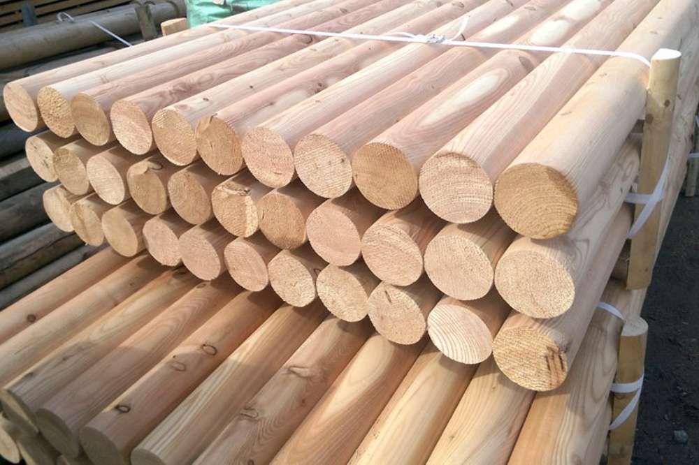 Gorza pali legno - Pali larice