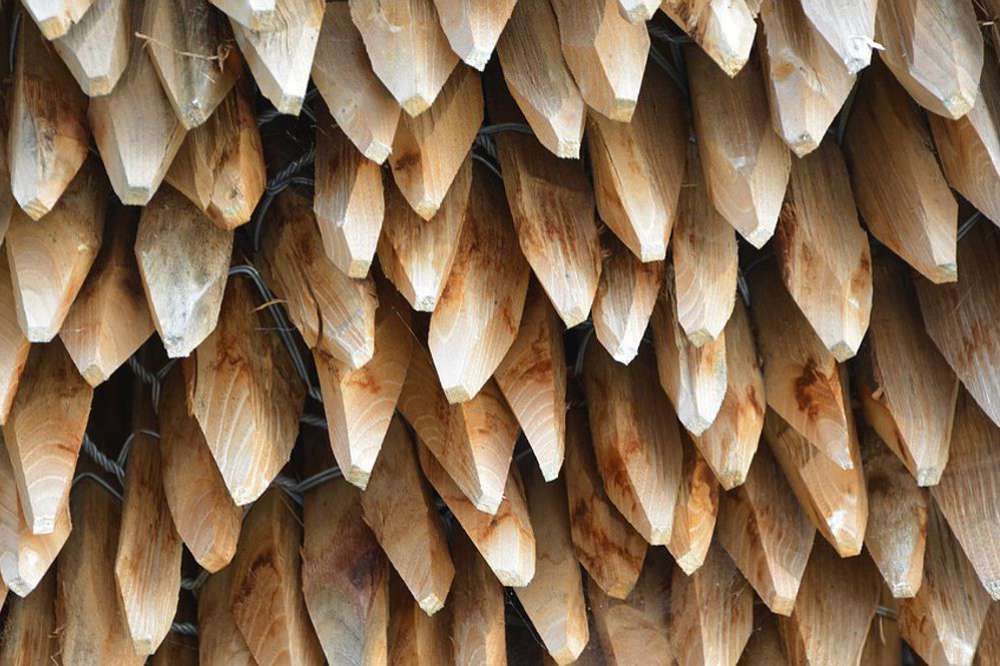 Gorza pali legno - Pali acacia